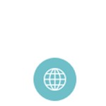 Site Domains Icon