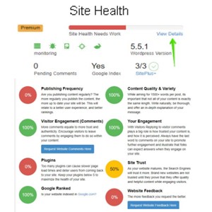 Site Health Gives A Barometer of the Website As Viewed by Search Engines At Digital Marketing
