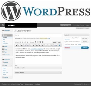 WordPress Content Management System Content Editor At Quaint Digital Marketing